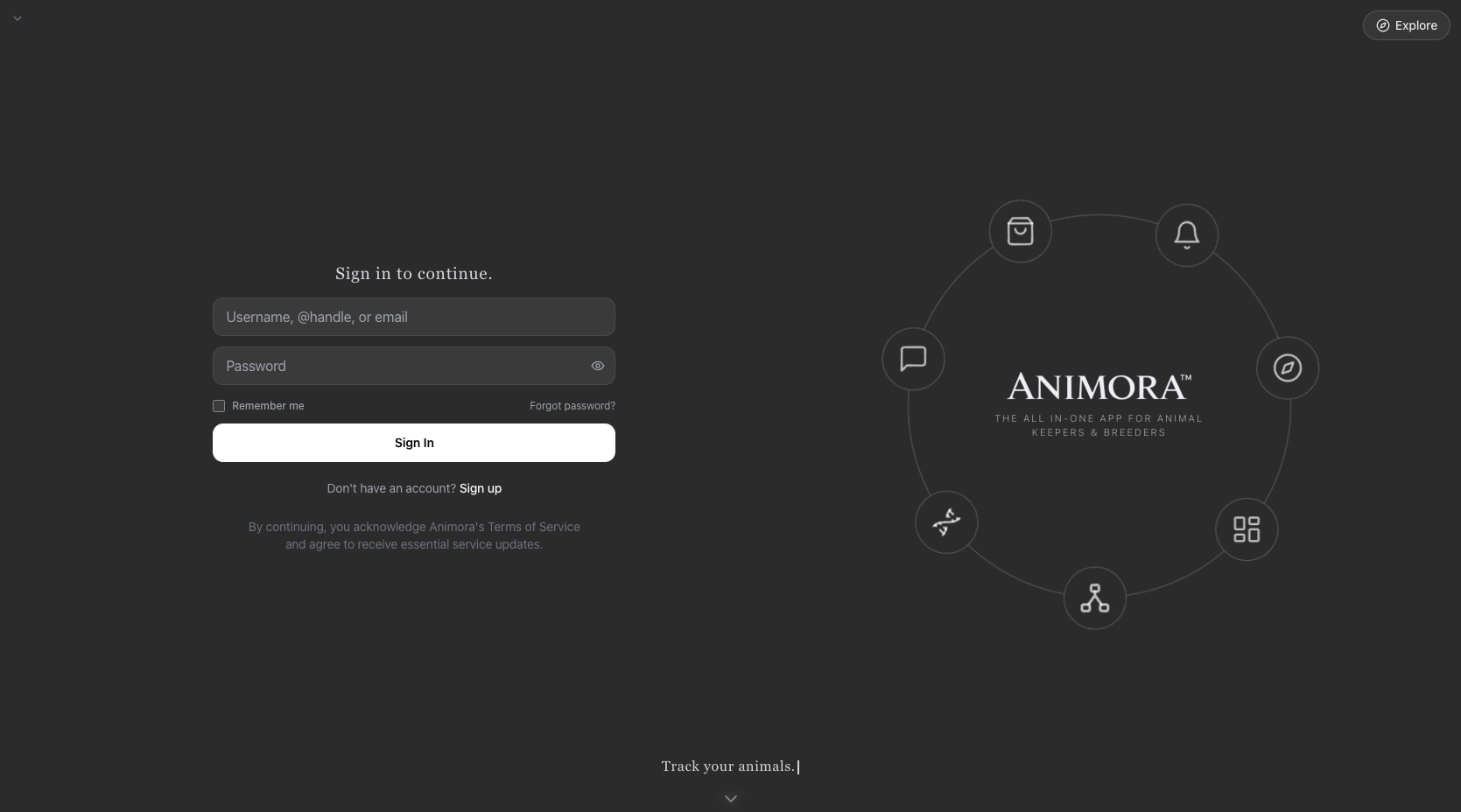 Animora website