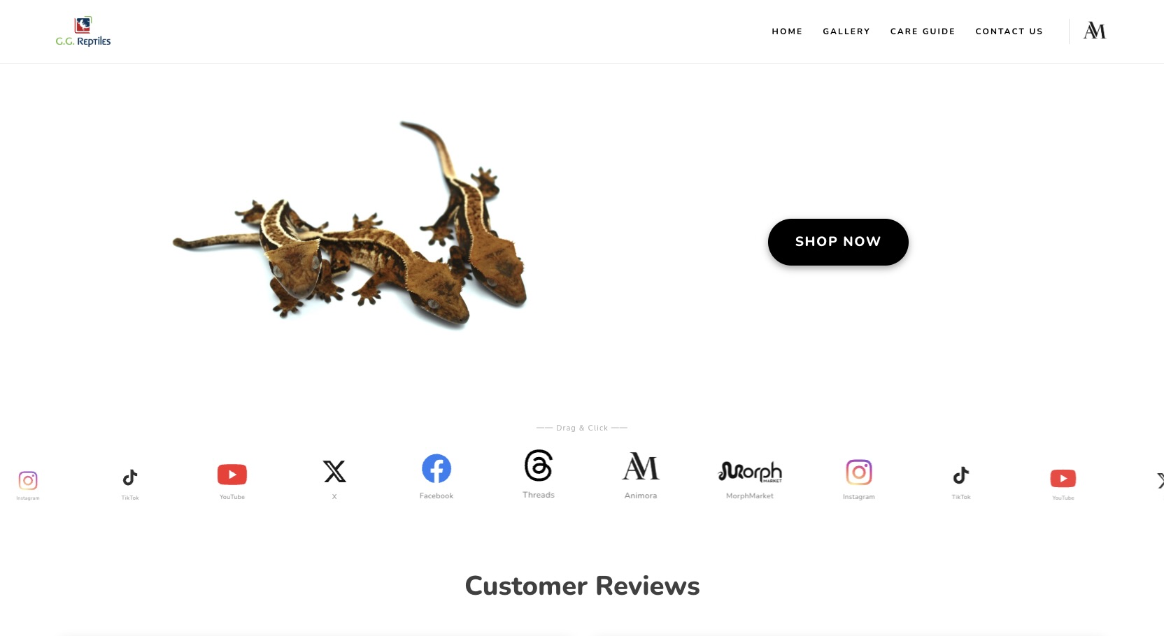 G.G. Reptiles website